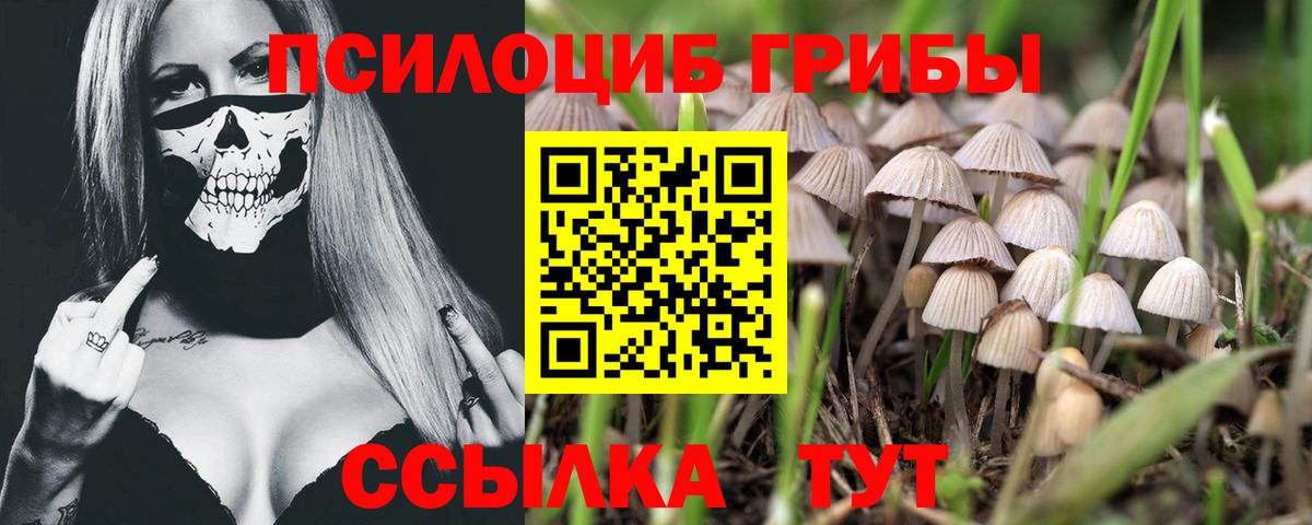Галлюциногенные грибы MAGIC MUSHROOMS Алексеевка